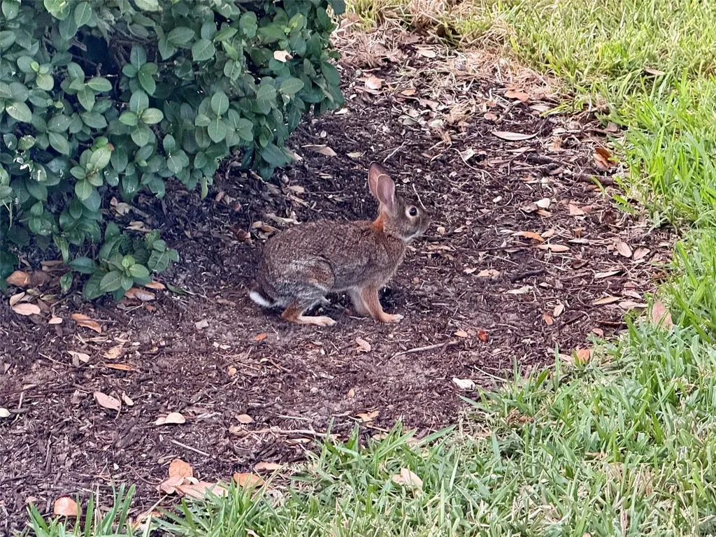 4683 Winston Lane N Sarasota FL 34235