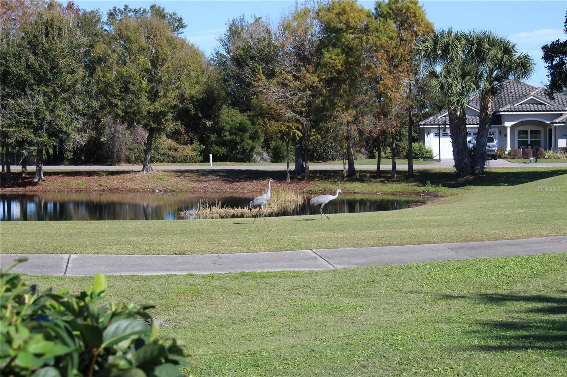 30501 Island Club Drive Tavares FL 32778