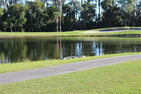 30501 Island Club Drive Tavares FL 32778