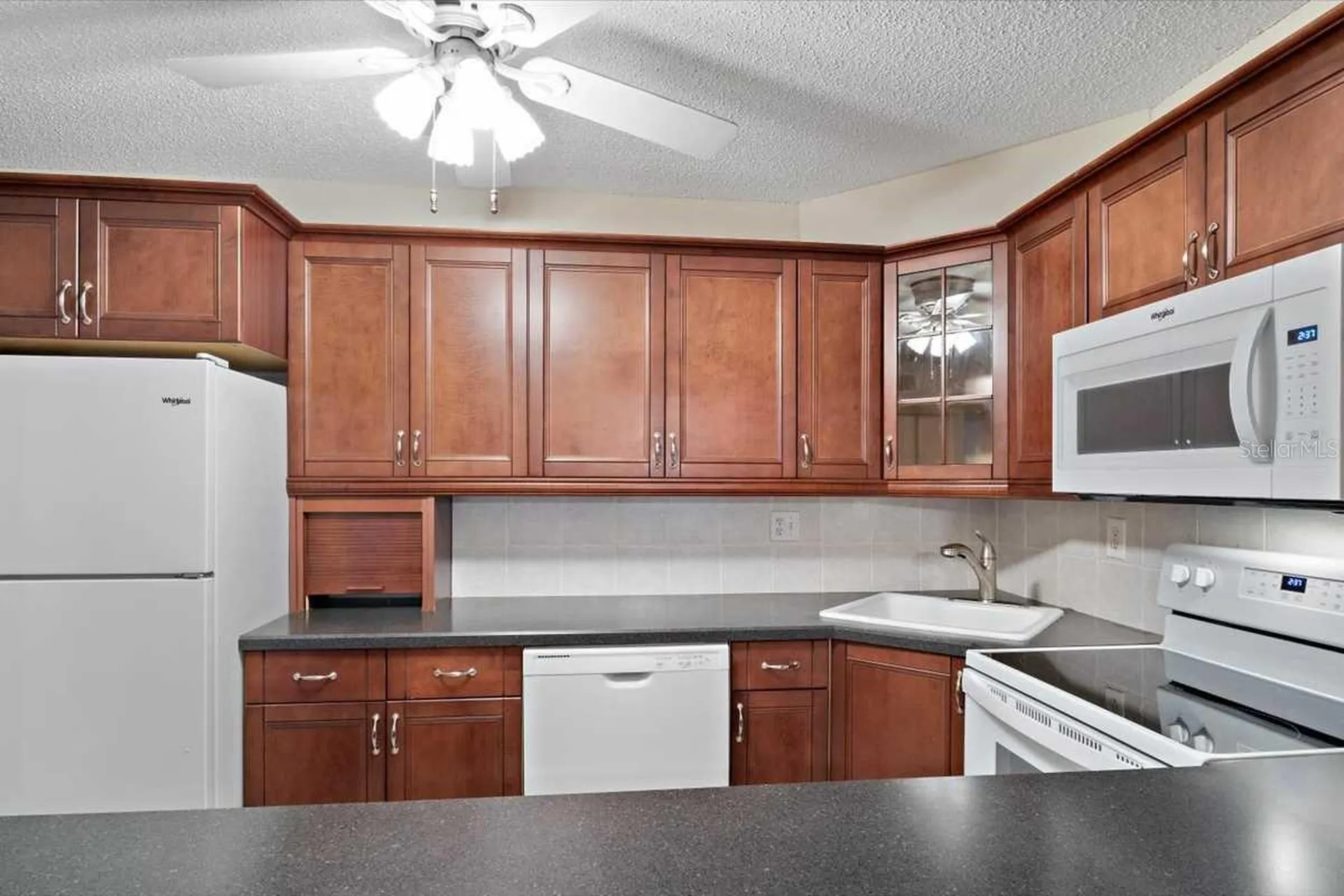 1127 Pine Ridge Circle W Tarpon Springs FL 34688