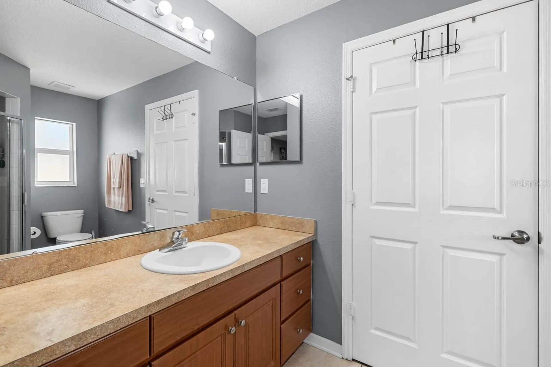 1132 Shared Passion Street Ruskin FL 33570