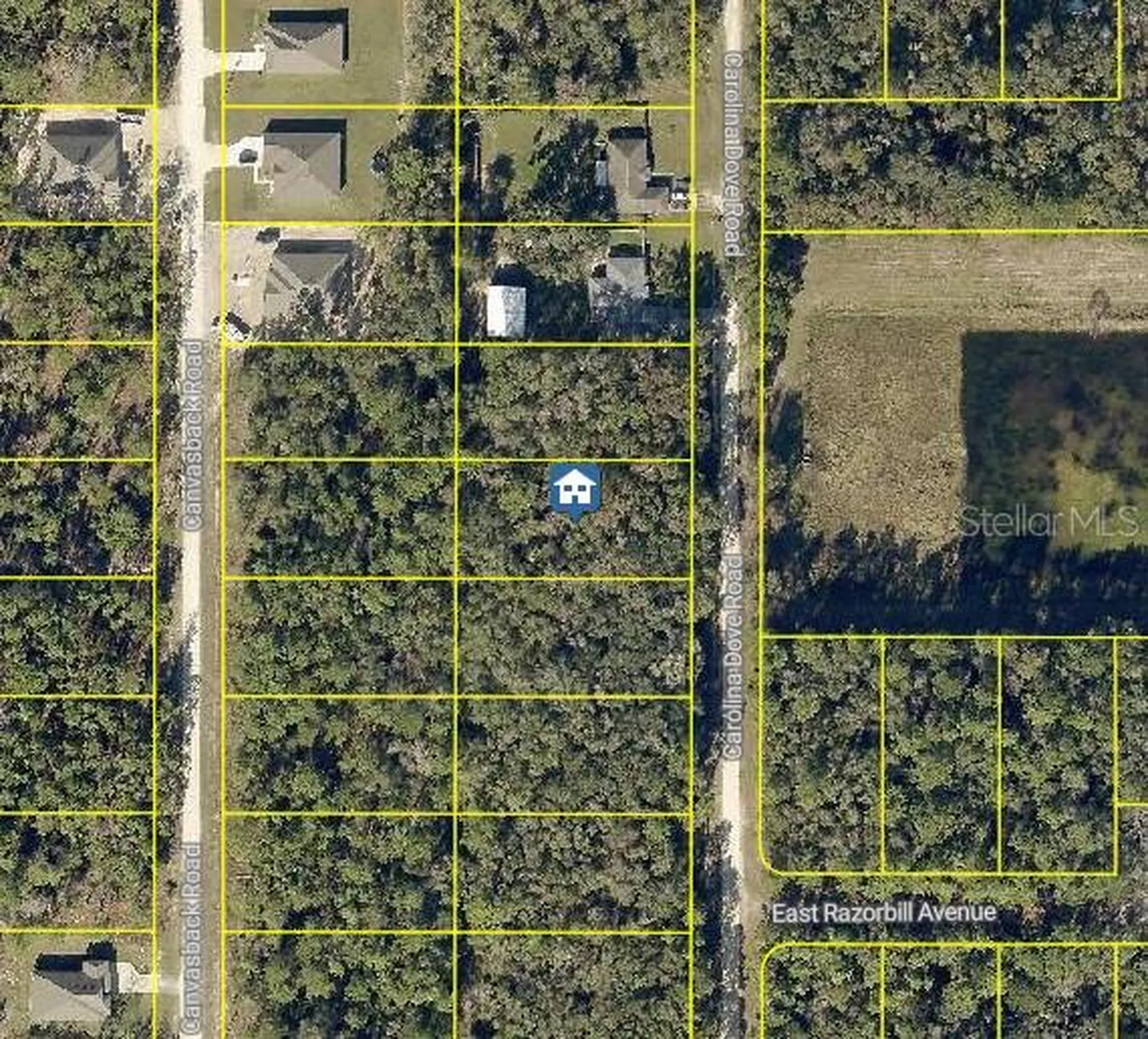 Lot 1021 Carolina Dove Road Weeki Wachee FL 34614