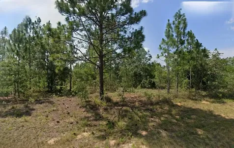 Durham Drive Chipley FL 32428