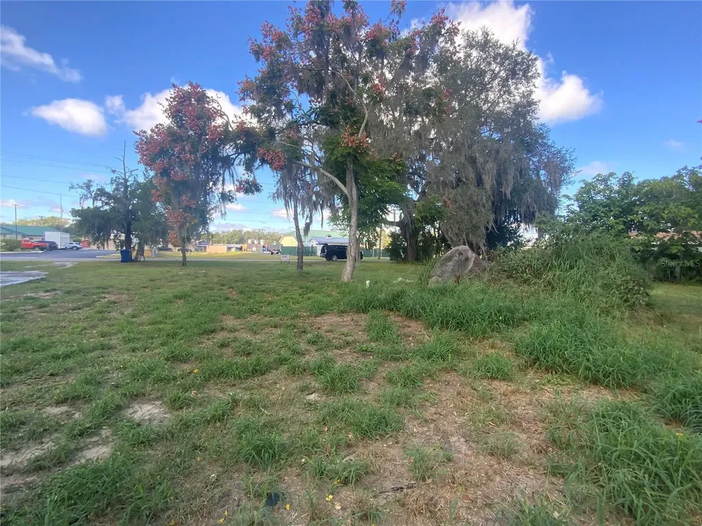 116 V Matt Williams Boulevard Polk City FL 33868