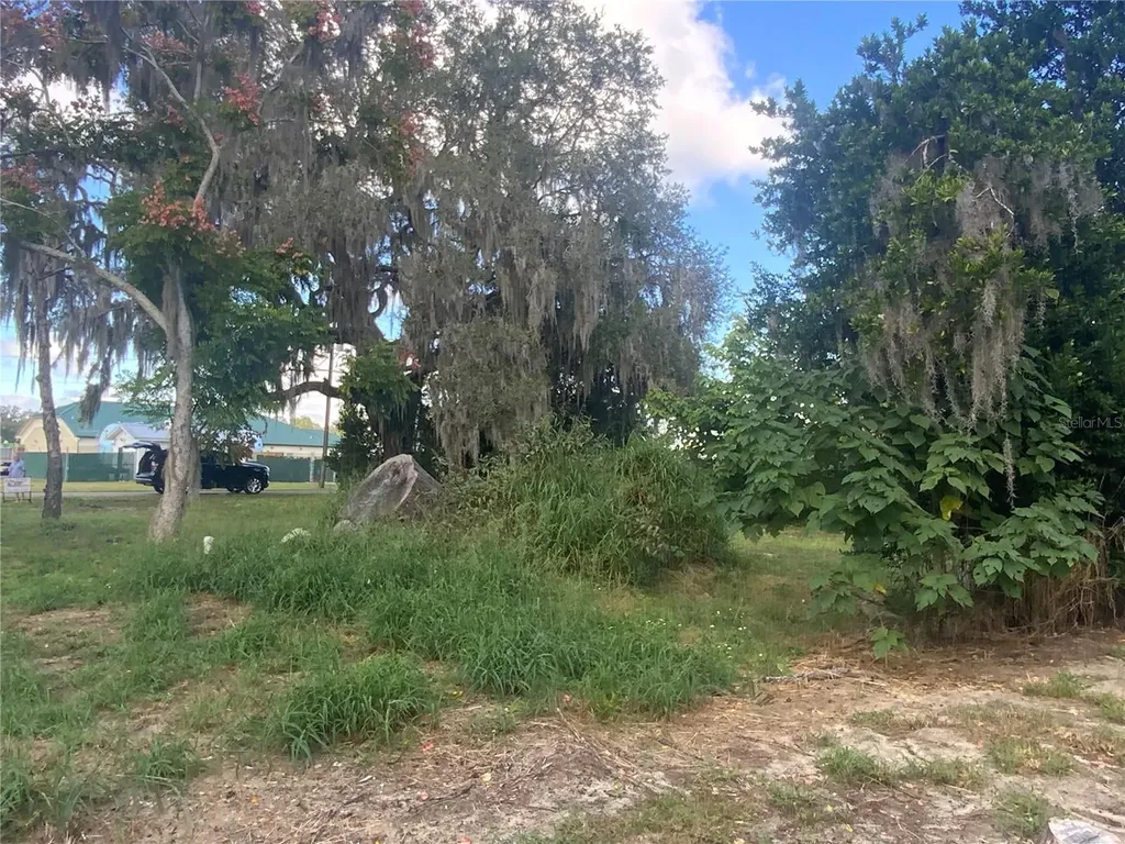 116 V Matt Williams Boulevard Polk City FL 33868
