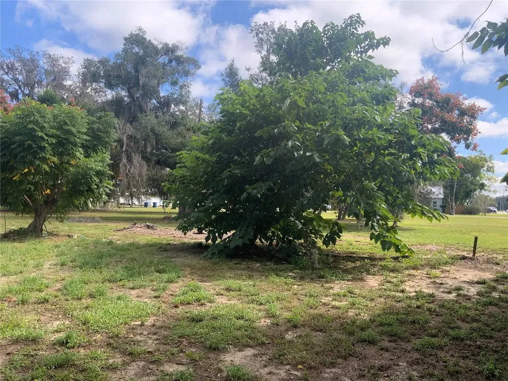 116 V Matt Williams Boulevard Polk City FL 33868