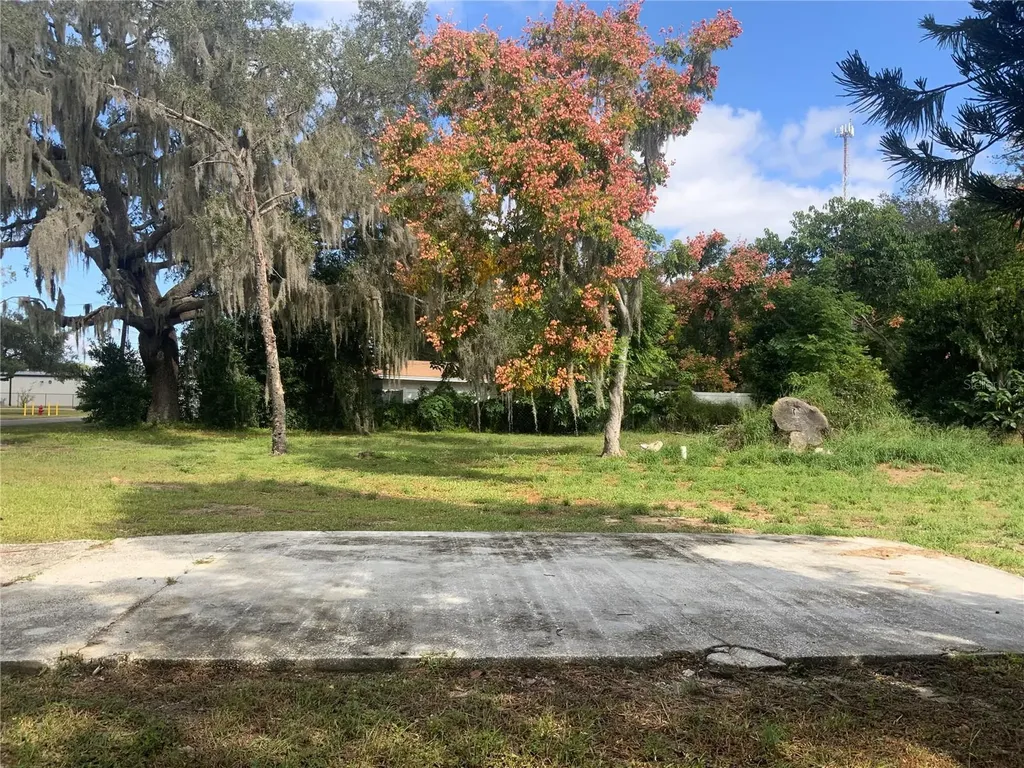 116 V Matt Williams Boulevard Polk City FL 33868