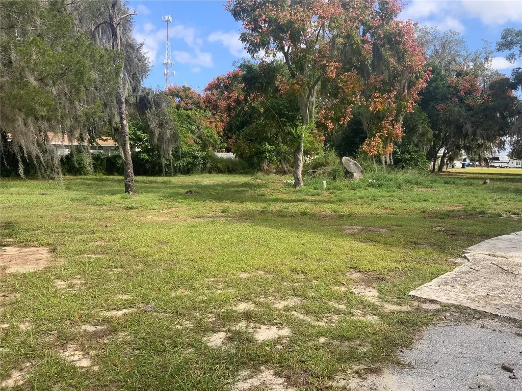 116 V Matt Williams Boulevard Polk City FL 33868