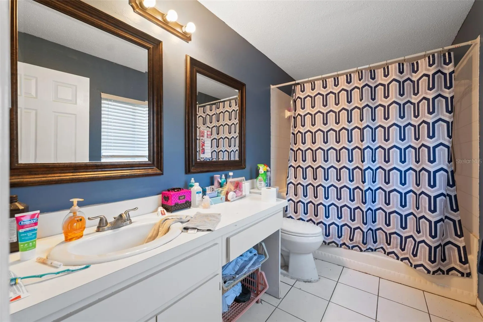 24138 Twin Court Land O Lakes FL 34639