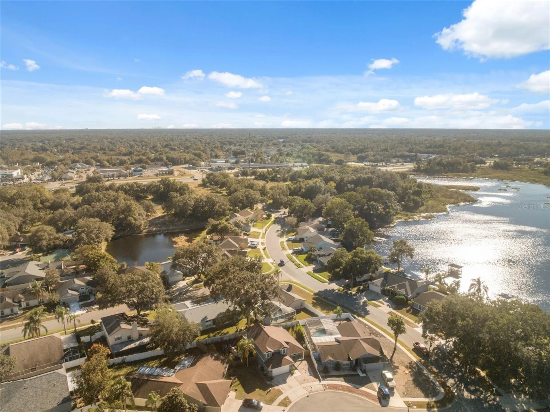 24138 Twin Court Land O Lakes FL 34639