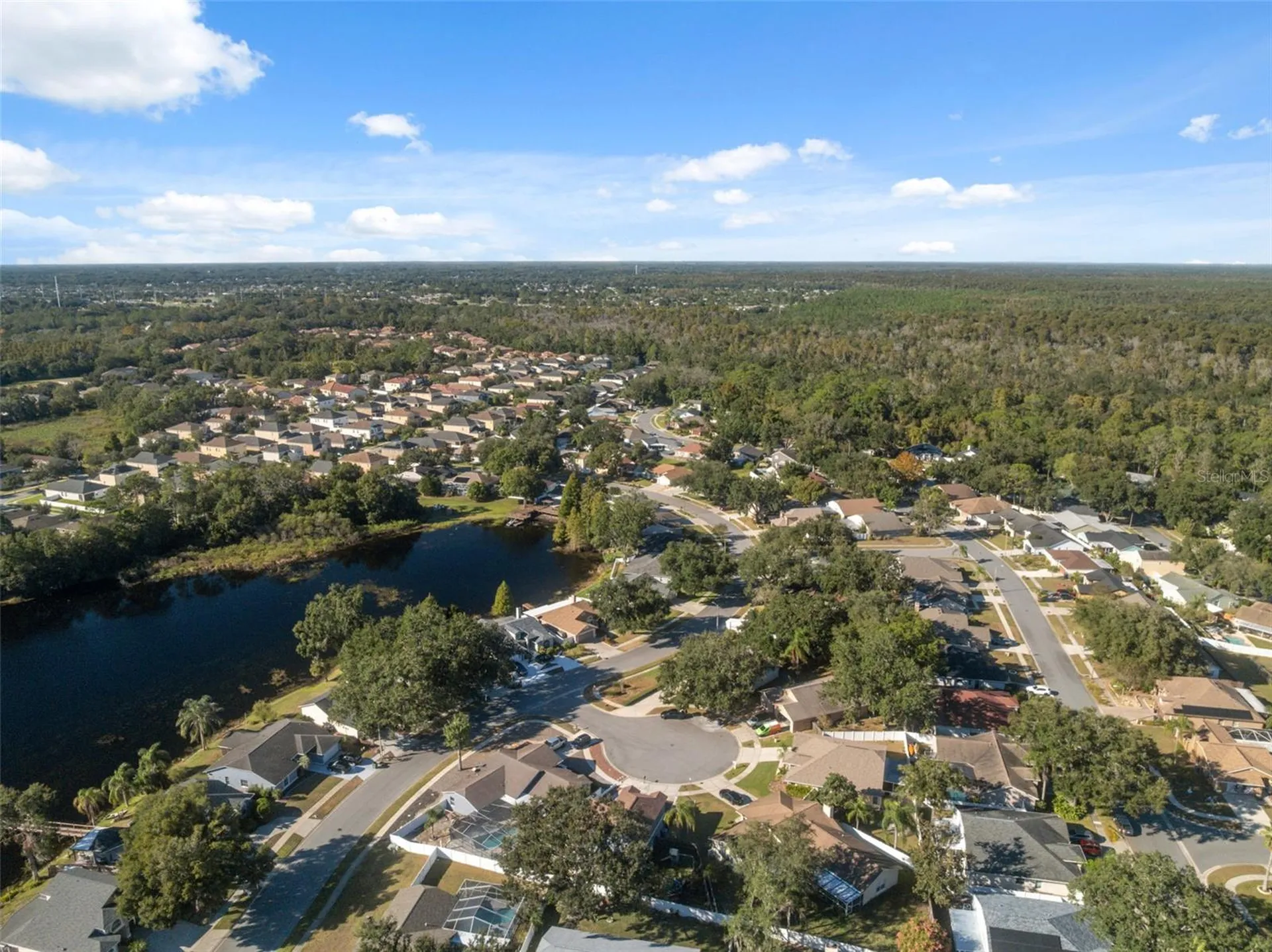 24138 Twin Court Land O Lakes FL 34639