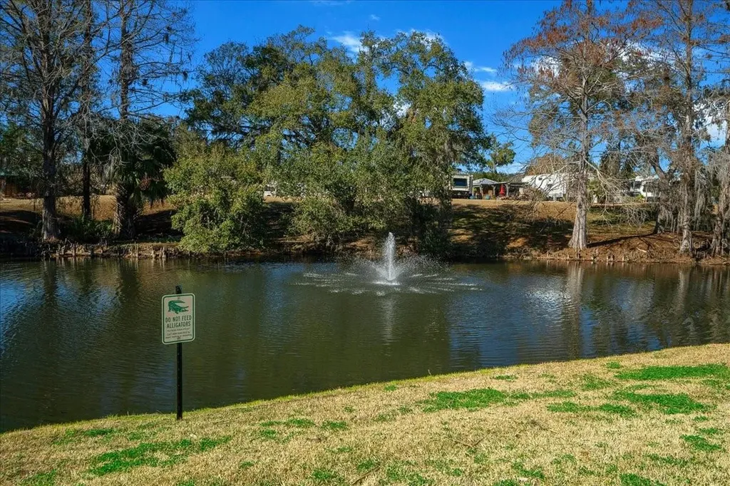 3259 NE 102nd Avenue Road Silver Springs FL 34488