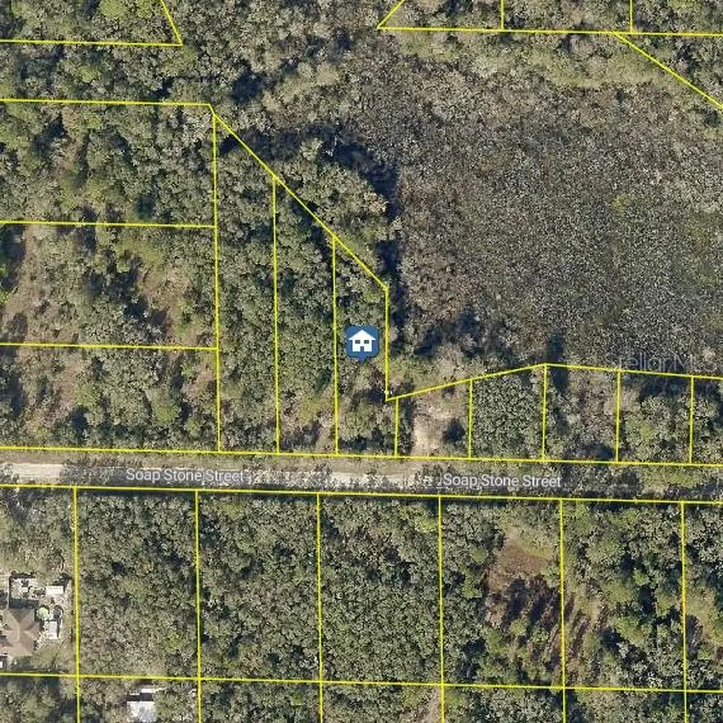 Lot 37 Soap Stone Street Webster FL 33597