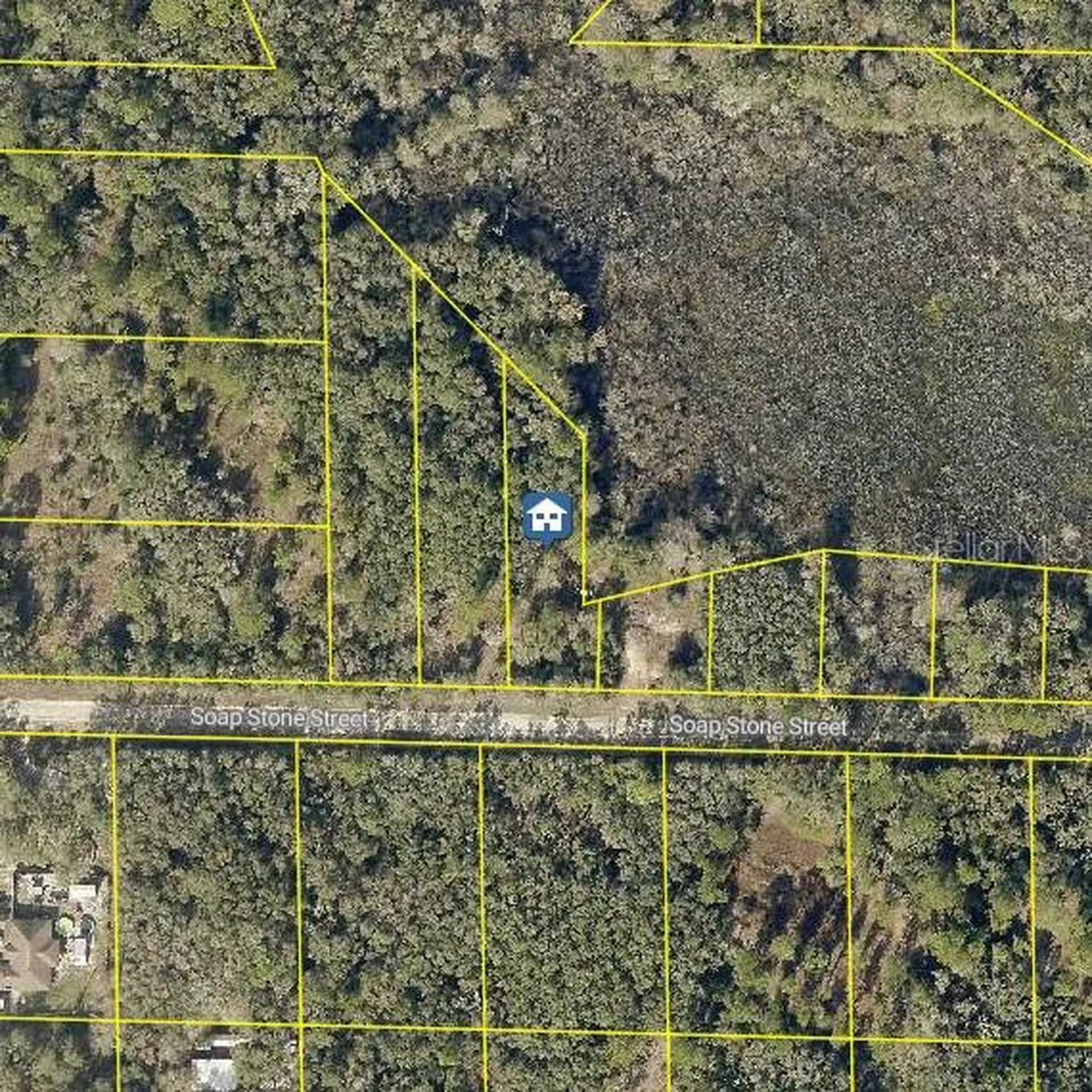 Lot 37 Soap Stone Street Webster FL 33597