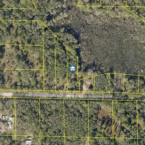 Lot 37 Soap Stone Street Webster FL 33597