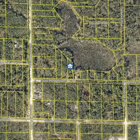 Lot 37 Soap Stone Street Webster FL 33597