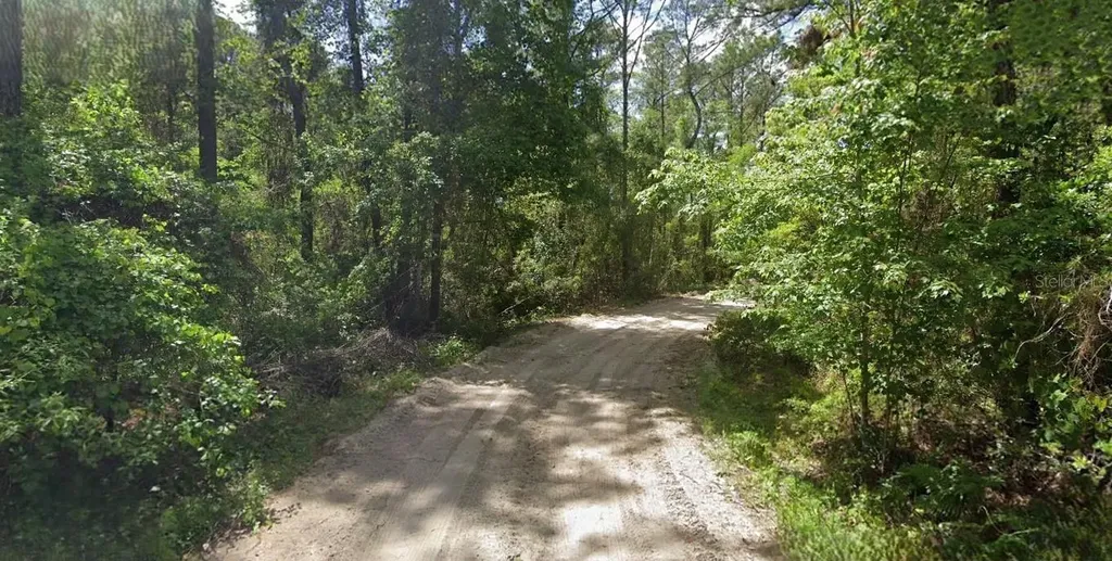 135 Buckles Drive Palatka FL 32177
