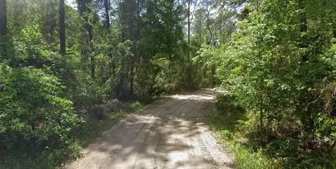135 Buckles Drive Palatka FL 32177