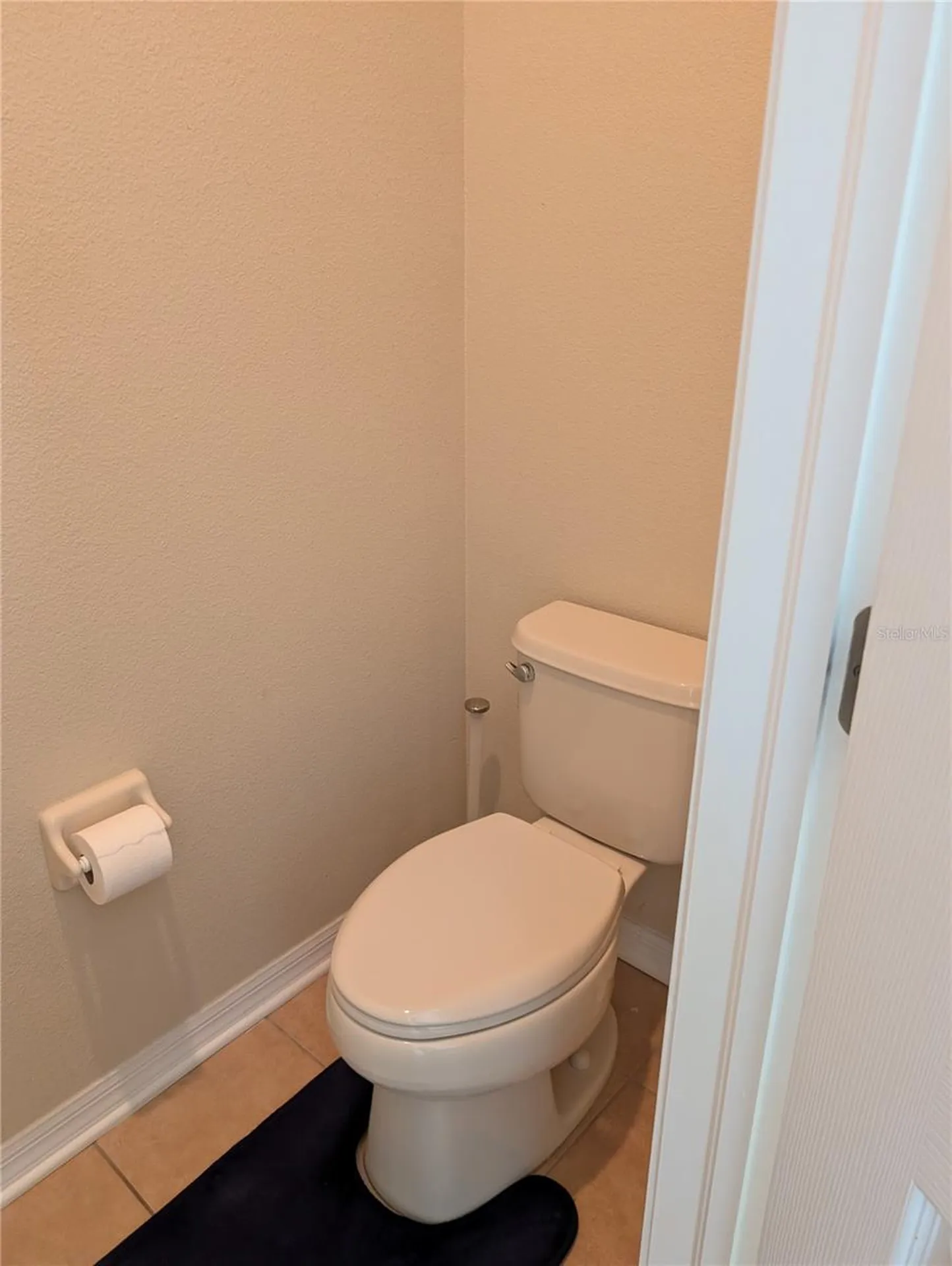 7343 Forest Mere Drive Riverview FL 33578