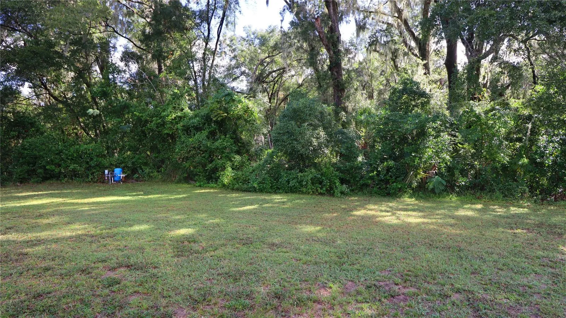 13777 SE 44th Avenue Summerfield FL 34491
