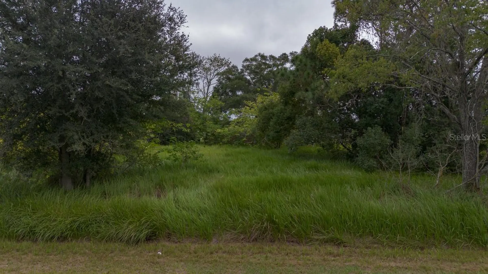 Laurel Court Ocala FL 34478