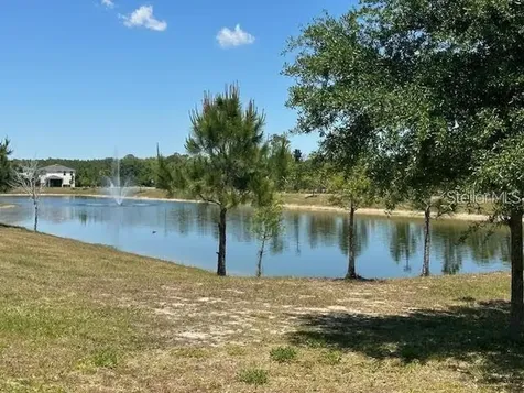 17249 Goldcrest Loop Clermont FL 34714