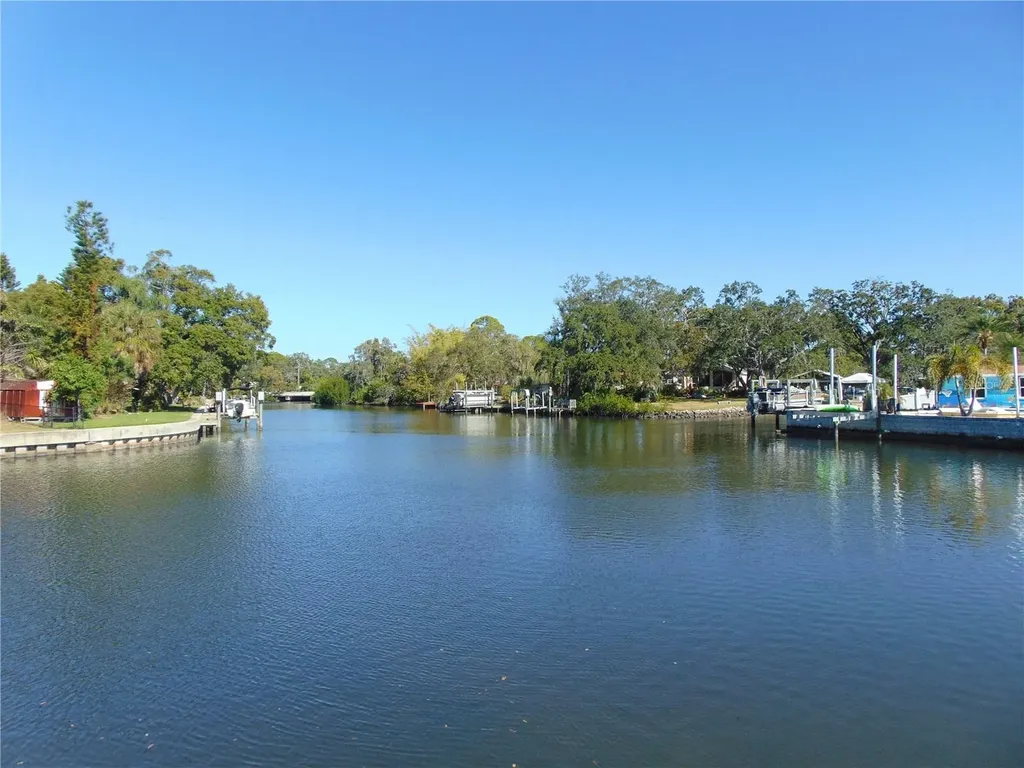 9119 Tudor Drive Tampa FL 33615