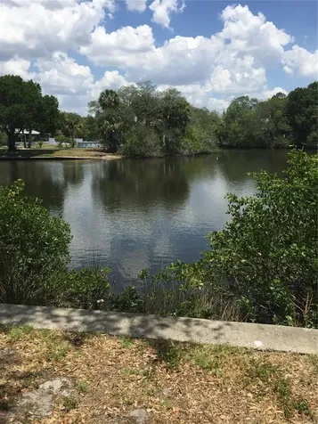 9119 Tudor Drive Tampa FL 33615