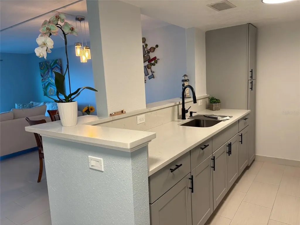 464 Paula Drive N Dunedin FL 34698