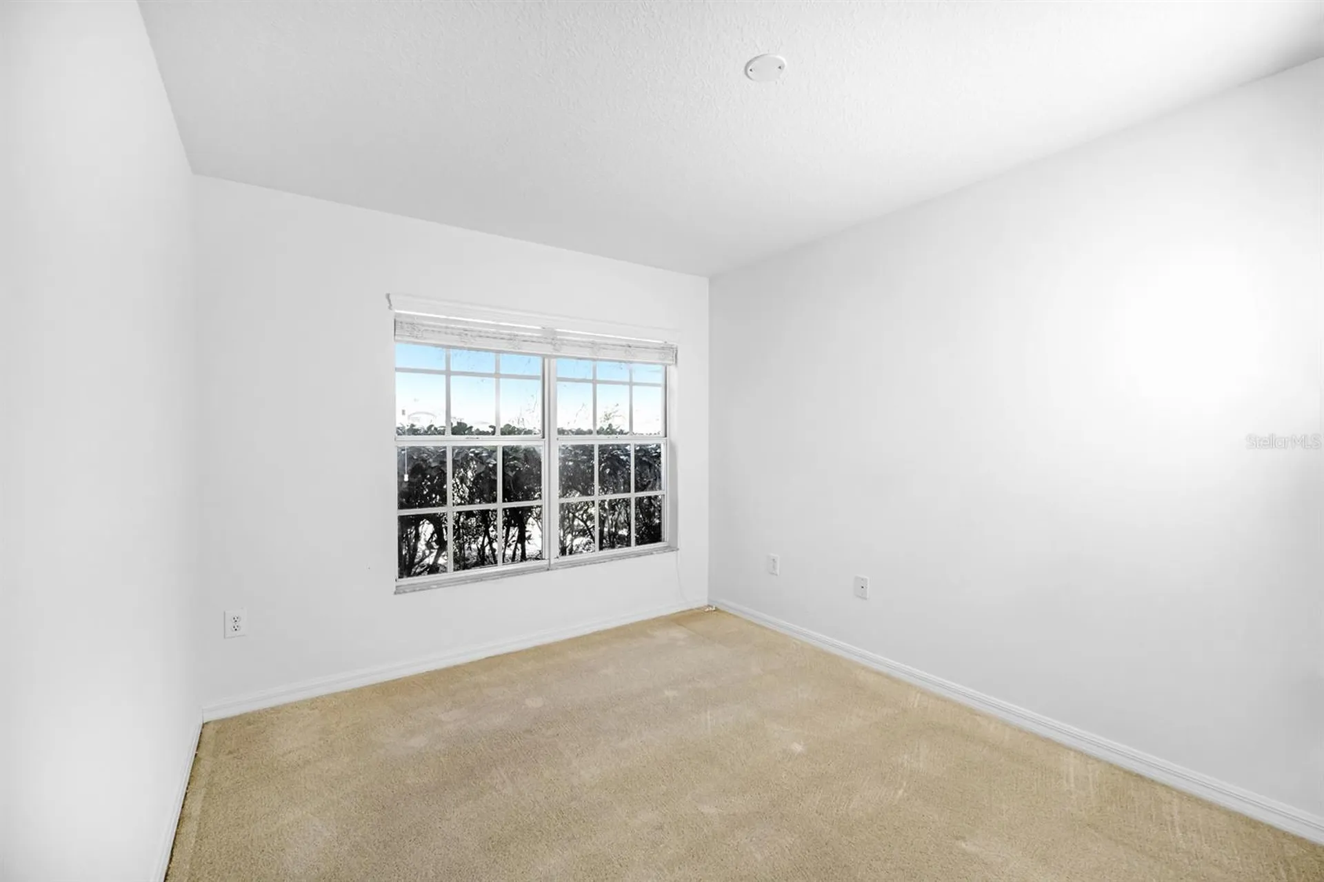 19438 Everton Place Land O Lakes FL 34638