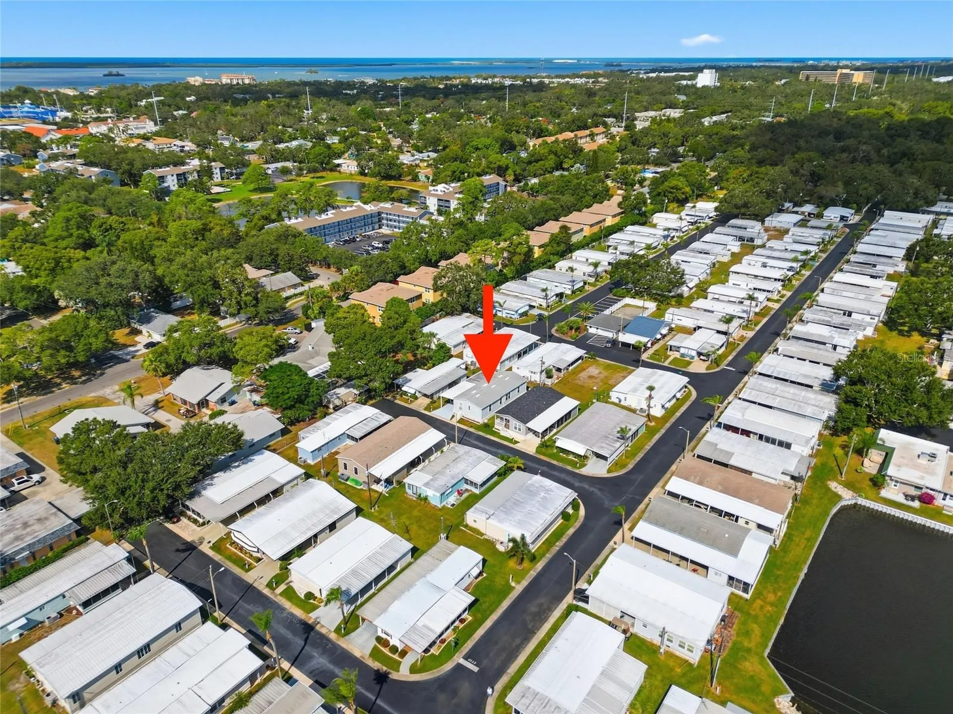 130 Patricia Avenue Dunedin FL 34698