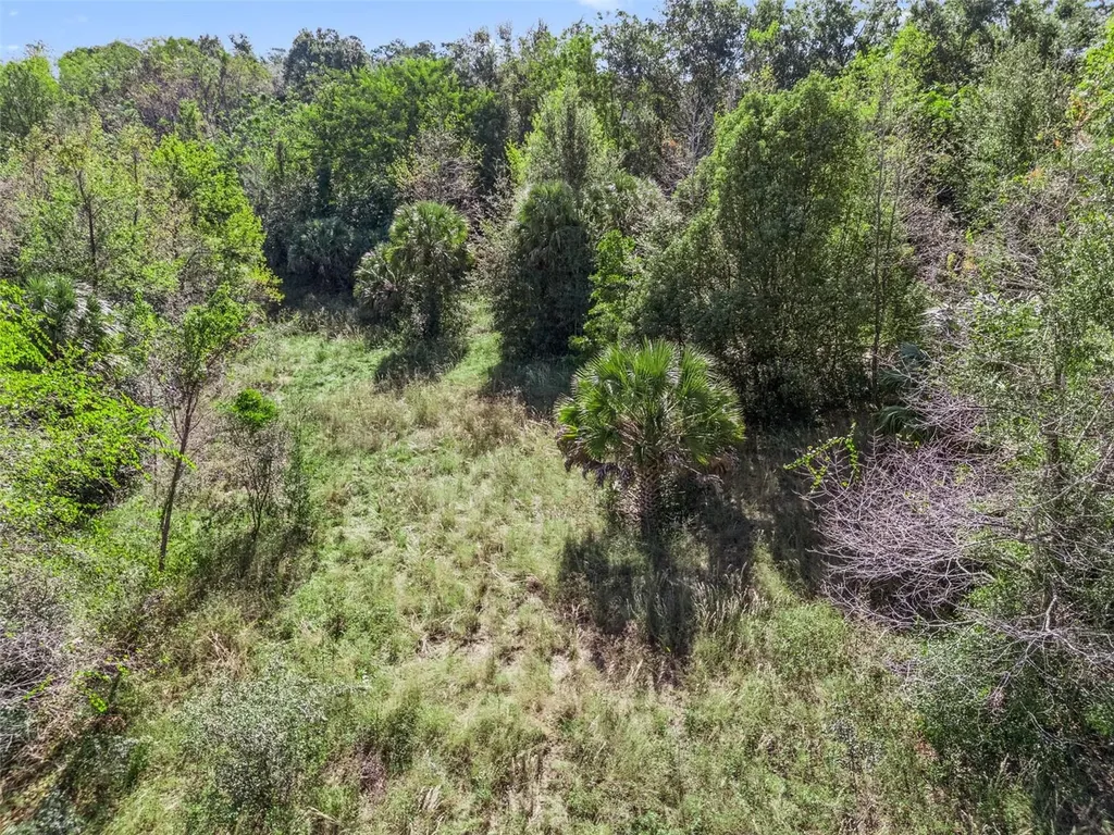 2228 Vick Road Apopka FL 32712