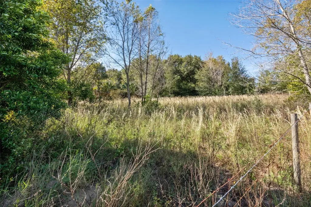 2228 Vick Road Apopka FL 32712