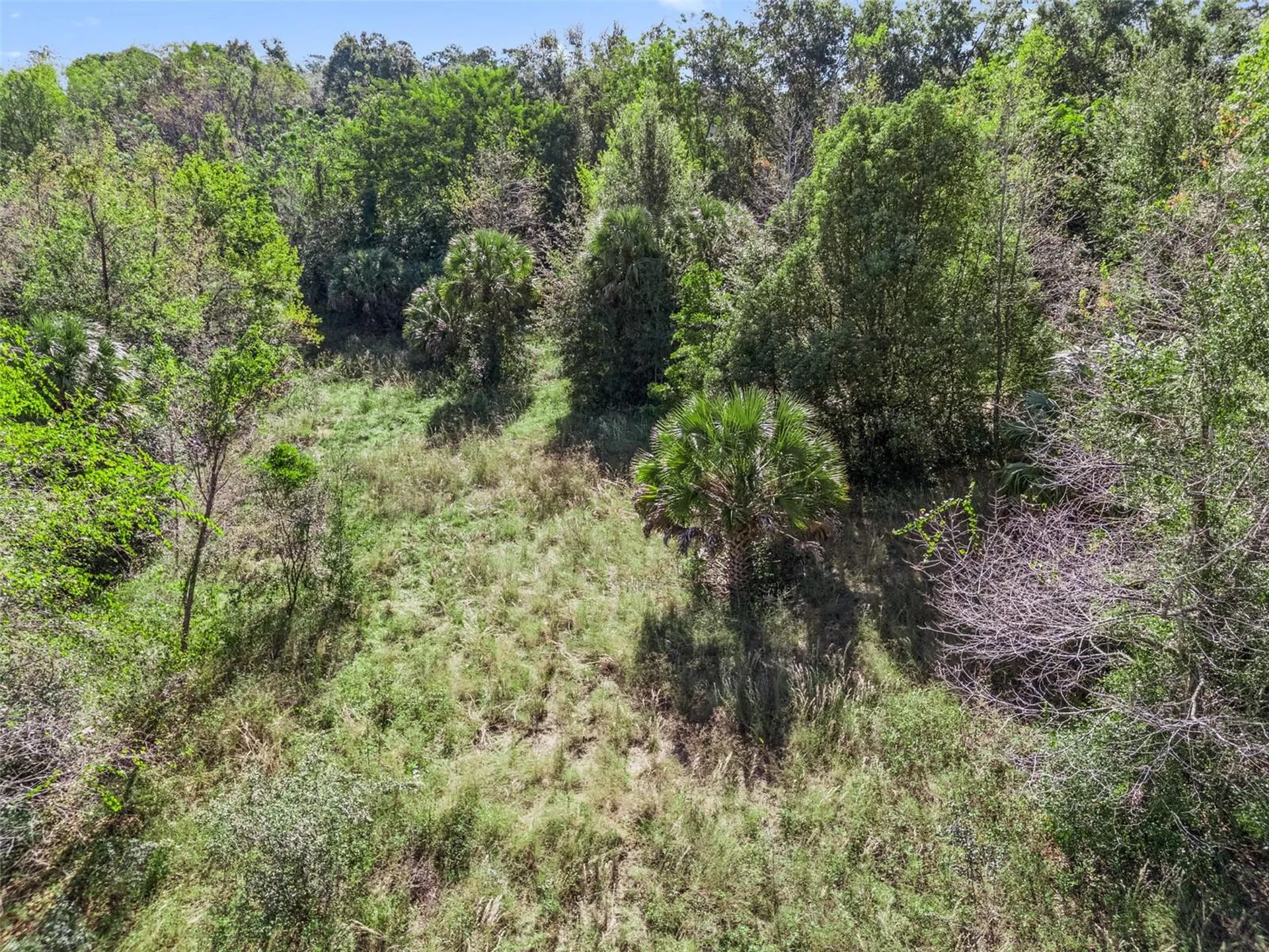 2228 Vick Road Apopka FL 32712