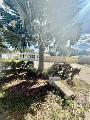 2535 Jungle Street Lakeland FL 33801