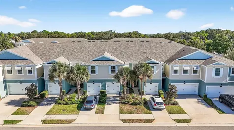 2208 Sunset Wind Loop Oldsmar FL 34677