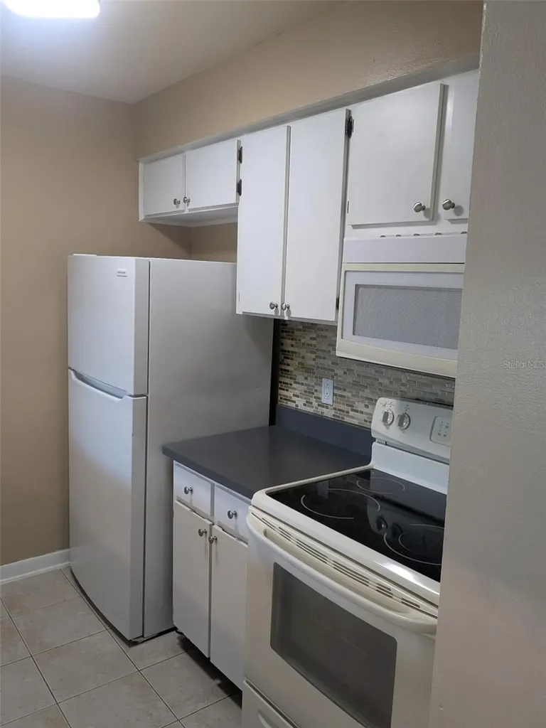 527 S Lincoln Avenue Tampa FL 33609
