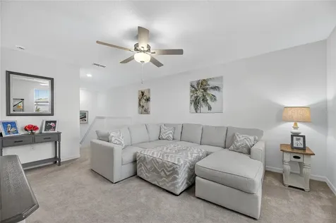 13423 Jamaica Plank Loop Riverview FL 33579