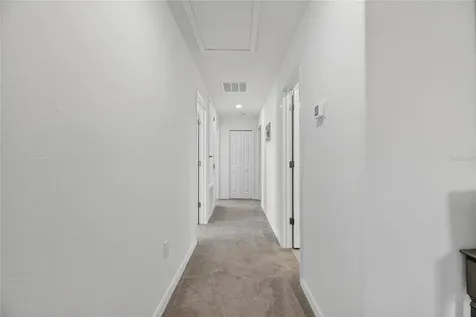 13423 Jamaica Plank Loop Riverview FL 33579