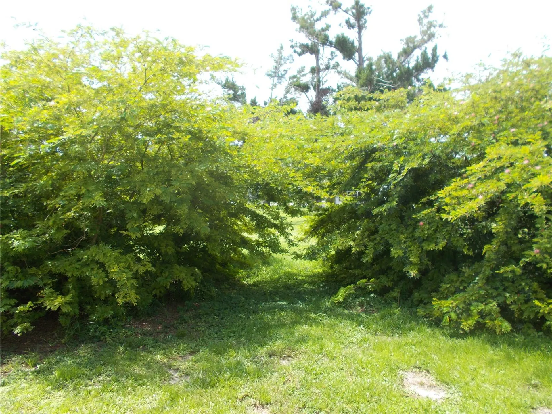 6456 Haele Court North Port FL 34287