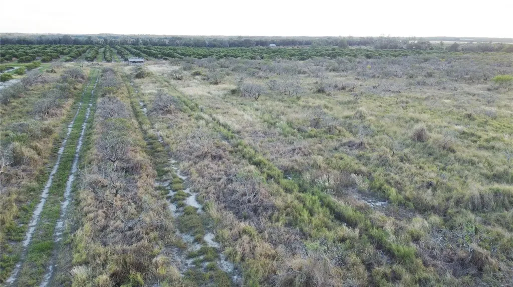 1895 Otto Polk Road Frostproof FL 33843