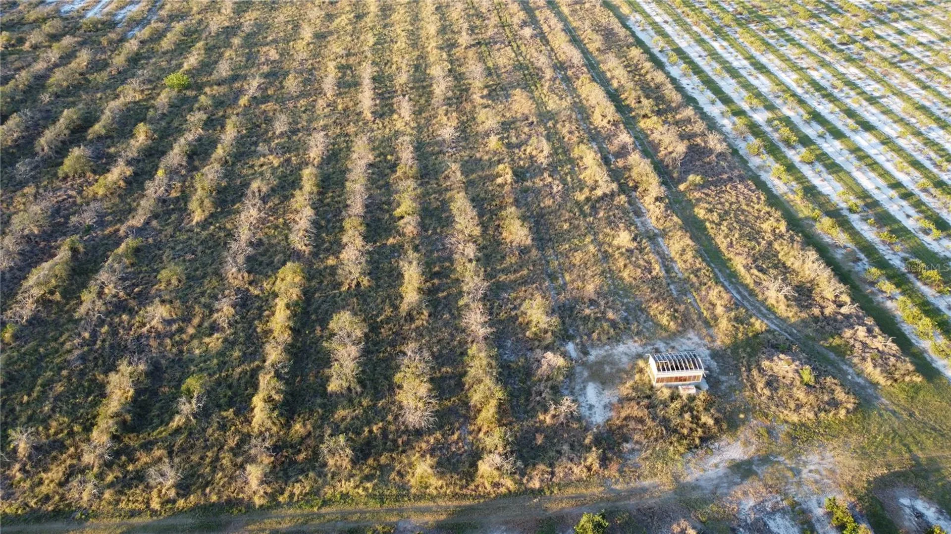 1895 Otto Polk Road Frostproof FL 33843