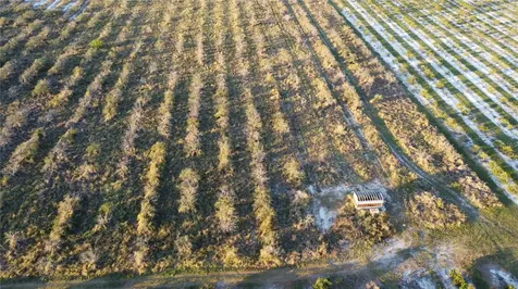 1895 Otto Polk Road Frostproof FL 33843