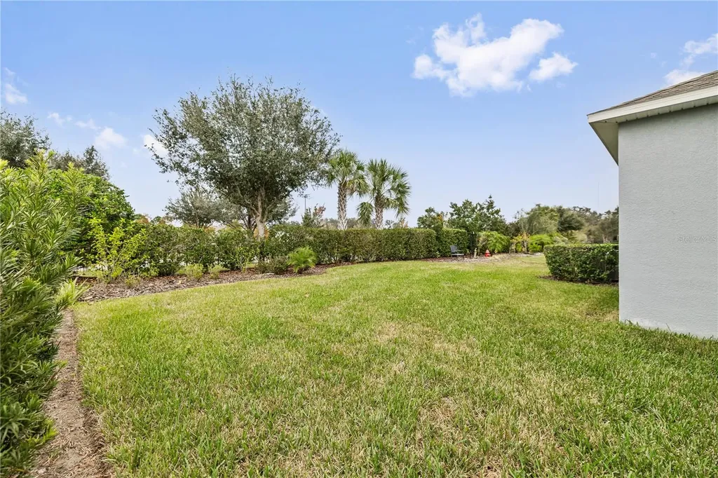 6112 Plover Meadow Street Lithia FL 33547