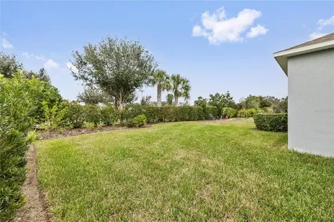 6112 Plover Meadow Street Lithia FL 33547