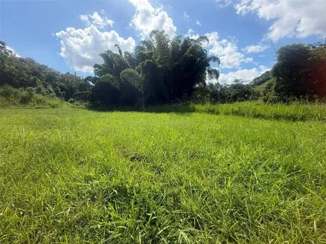 172 Bo. Rio Abajo PR 00739