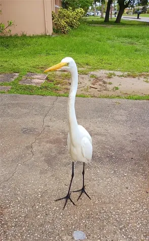 1586 Beacon Drive Port Charlotte FL 33952