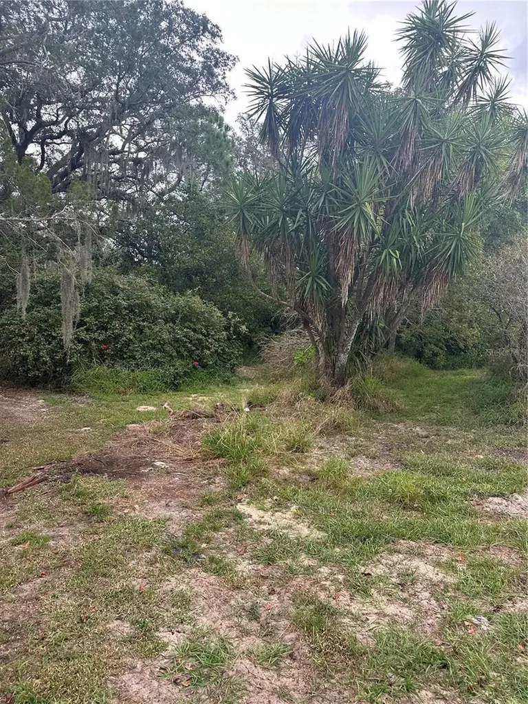 4998 Lake Lowery Road Haines City FL 33844