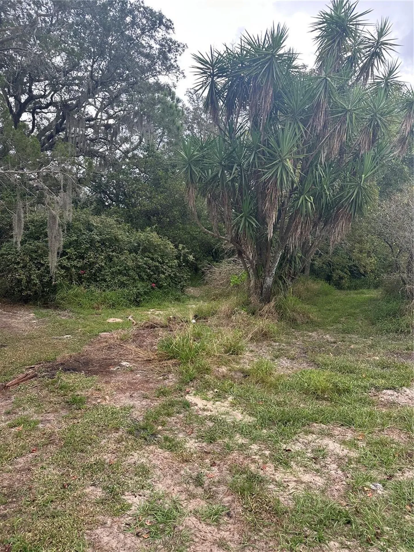 4998 Lake Lowery Road Haines City FL 33844