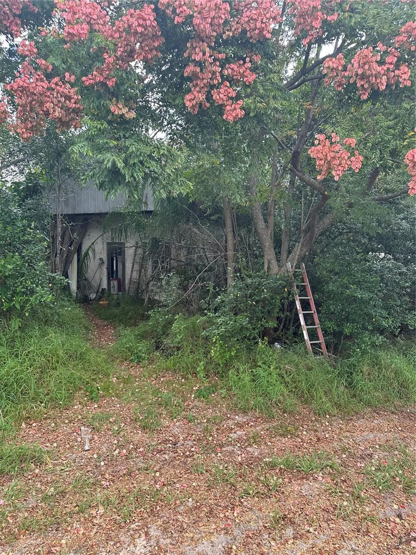4998 Lake Lowery Road Haines City FL 33844